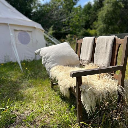 Glamping Pa Amager Hotel Dragor Exterior photo